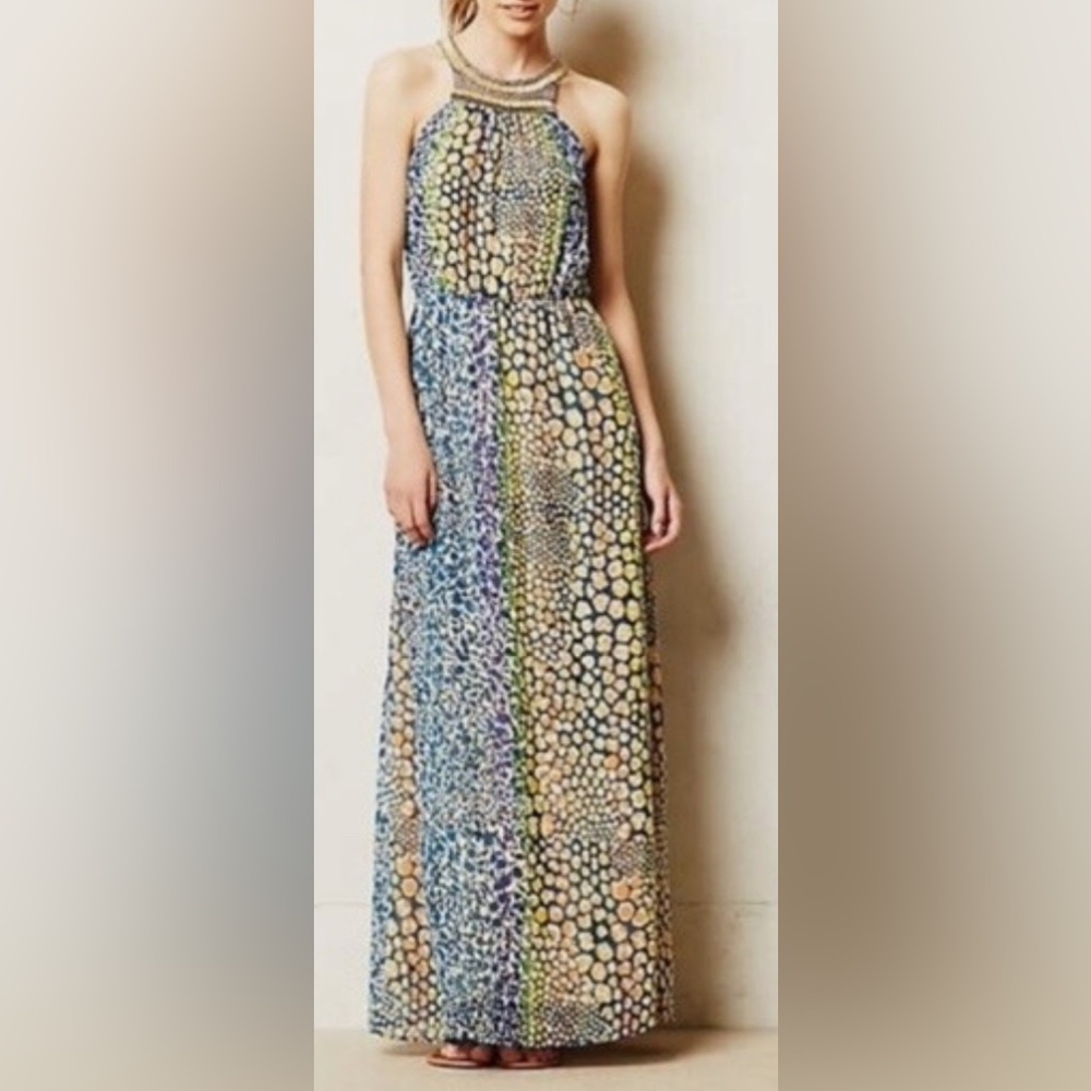 ANTHROPOLOGIE HD IN PARIS Maxi Dress size 2